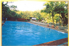 Swimming Pool1